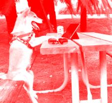 En el futuro • MARIA CAÑAS