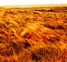 Nouveau monde ! (Le Monde à nouveau) • Nicolas Klotz et Élisabeth Perceval