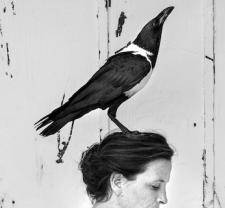 Photographie de pour le spectacle Là de Baro d'Evel. 