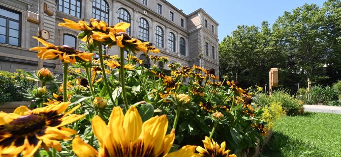 La Balade BiodiverSainté